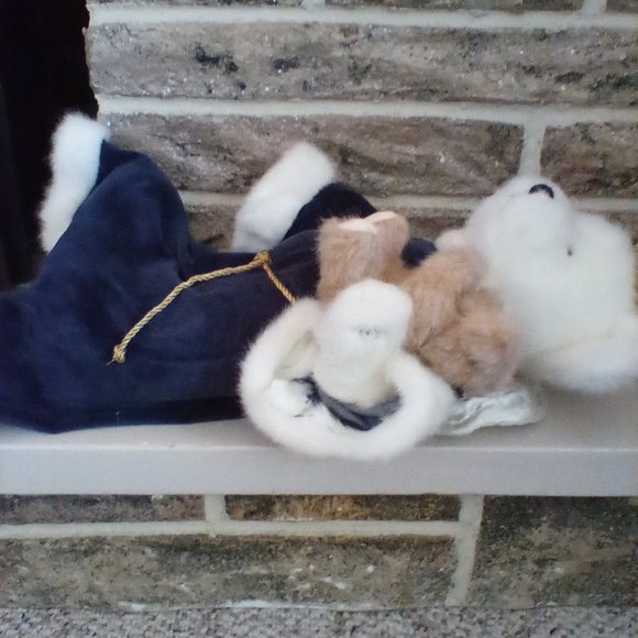 Boyd's bear - Picture 3 of 4